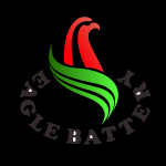 Shenzhen Eagle Battery Co., Ltd.