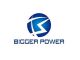 Bigger Power Technology LTD