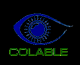 Colable Group Video Surveillance Solution