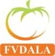 Fresh Vegetable DaLat Commercial Services Co., Ltd - FVDALA