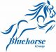 Bluehorse Group