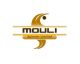 Mouli Spinner Limited