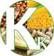 KingKay Agro Resources Nig Ltd