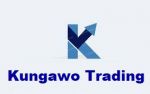  KungawoTrading(pty)Ltd