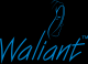 waliant international (PVT) LTD