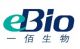 Hebei Ebio Biotechnology Co., Ltd.