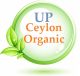 UP Ceylon Organic