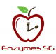 Fruit Enzymes