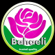 Bahaeli Limited