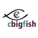 Cbigfish E-Solutions Pvt Ltd