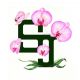 Sj Orchids Company