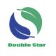 YongKang Double Star Electric Co., Ltd.