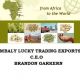  Mbali import and export pty