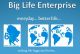 Big Life Enterprise (Nig)
