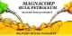 Magnacorp Bulk Petroleum