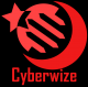 Cyberwize Turkey