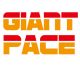 China Giant Pace Trading Co., Ltd.