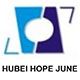 Hubei Hopejune Forging & Mechanical Co., Ltd