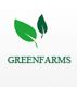 GREENFARMS LIMITED COMPANY