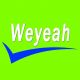 Yiwu Weyeah Power Machinery Co., Ltd.