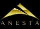 Anesta LLC