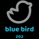 bluebird202