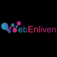 WebEnliven Solutions LLC