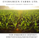 Evergreen  Farms Ltd.