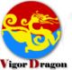 Foshan Vigor Dragon Imp & Exp. Co., Ltd