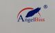 AngelBiss Medical Technology Co., Ltd