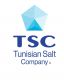 Tunisian Salt Company