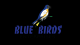 BlueBirds Enterprises