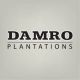 Damro Exports (Pvt) Ltd