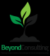 BeyondConsulting