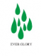 EVER GLORY PACKAGING GROUP LIMITED