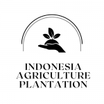 CV. Indonesia Agriculture Plantation