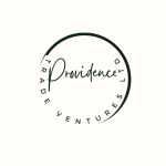 Providence Trade Ventures Ltd