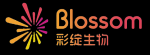 Jiangsu Blossom Bio-chemical Co., Ltd.