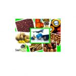 AgroFOODSTUFF EXPORT by snailfactory