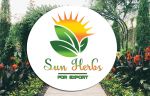 sun herbs for import and export