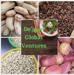 Dejoan global ventures