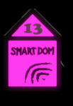 Smart Dom 13