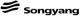 Hangzhou Songyang Electronic Technology CO., Ltd.