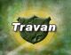 Travan Corp.
