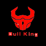 RiZhao Bull King Sports Technology Co., Ltd.