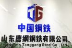Shandong Tanggang Steel Co., Ltd.