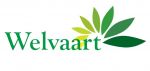 Welvaart, Ltd.
