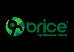 Brice Tanzania Ltd