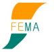 FEMA INTERNATIONAL BUSINESS CORP.