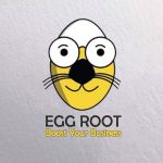 Egg Root Digital Marketing Agency